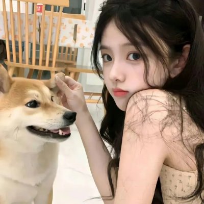追羊孖宝 在线观看
